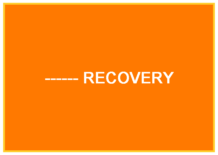 data recovery, surat